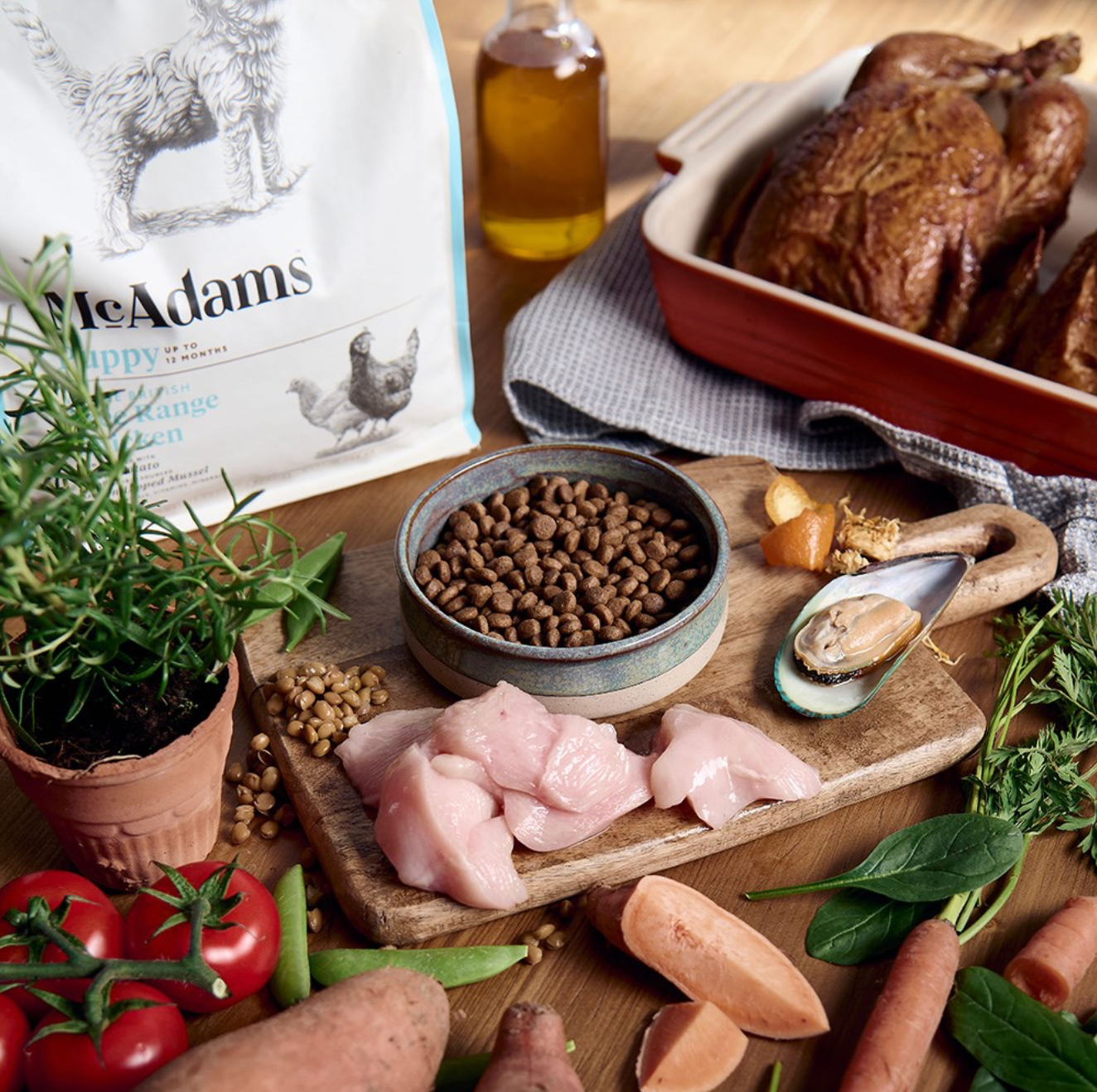 McAdams Puppy - Baked ethical kibble for Puppies