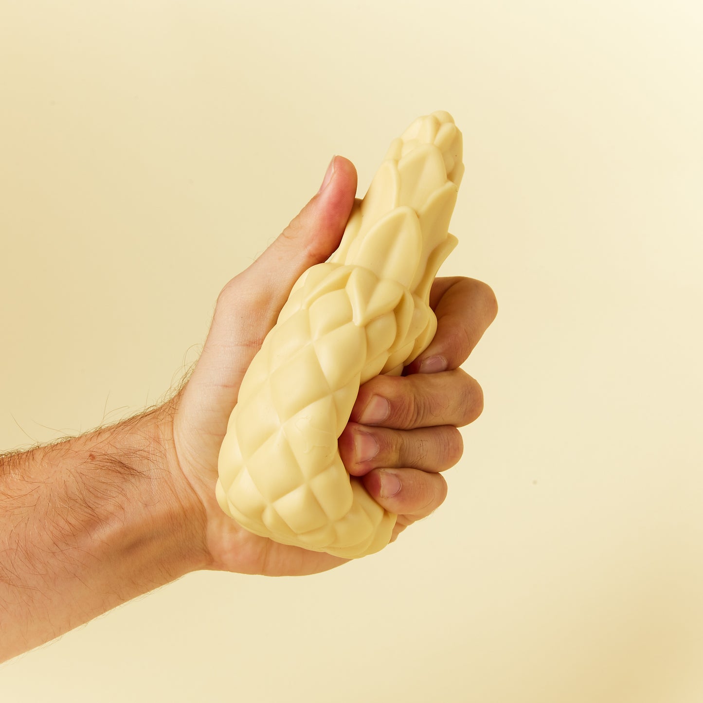 BARC London - Whistling dog toy Pineapple