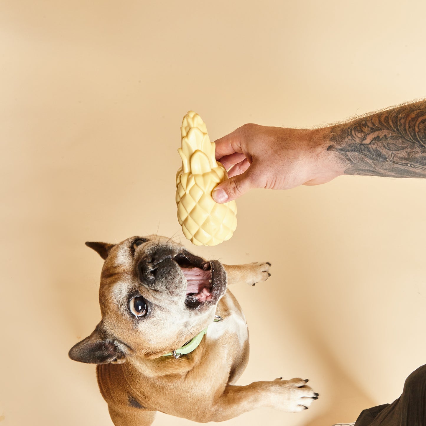 BARC London - Whistling dog toy Pineapple