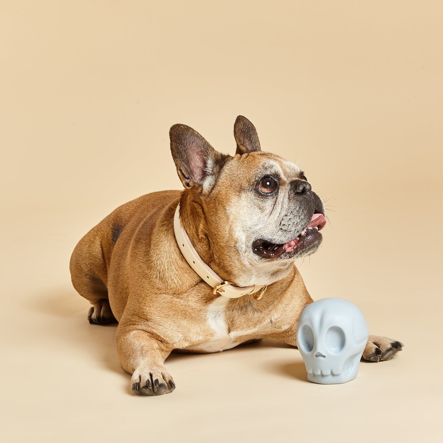 BARC London - Whistling toy for dogs Skull