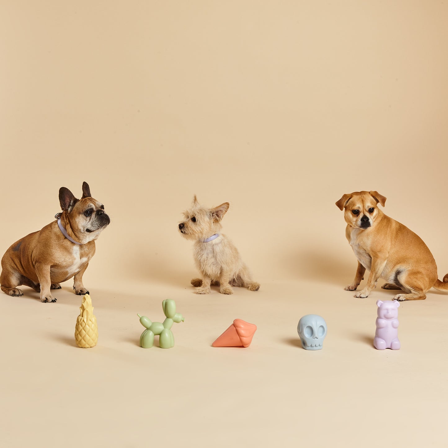 BARC London - Whistling toy for dogs Skull