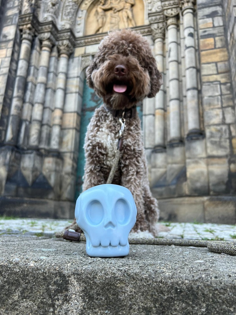BARC London - Whistling toy for dogs Skull