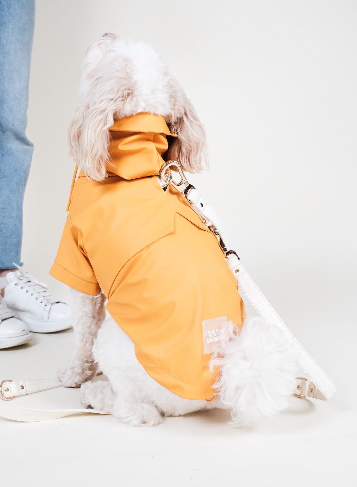 BARC London - Luxury eco raincoat for dogs - Orange