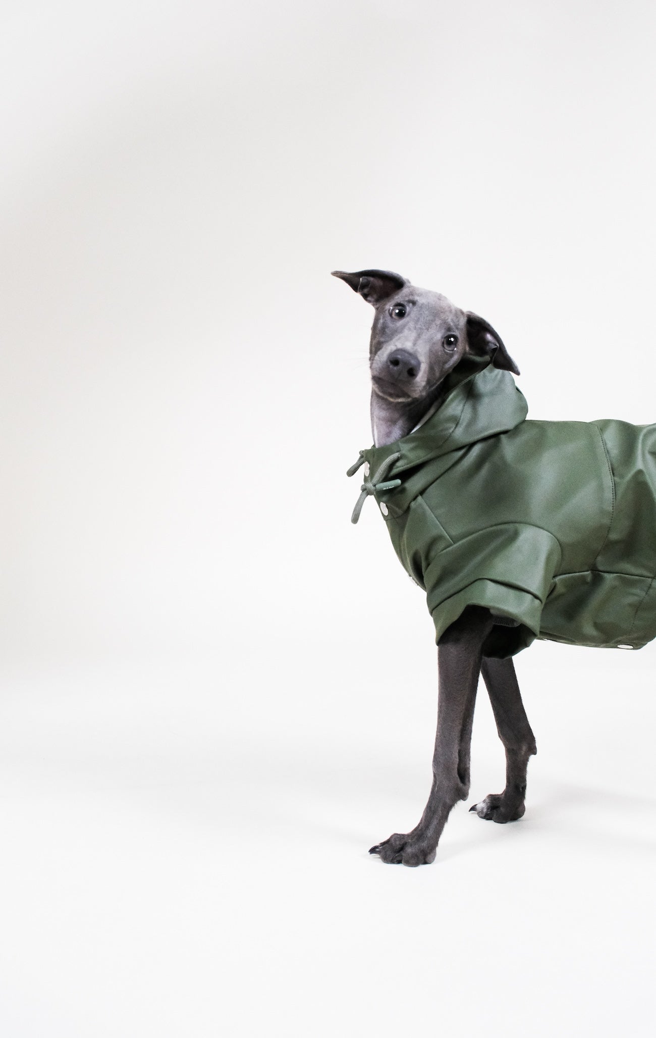BARC London - Luxury eco raincoat for dogs - Khaki