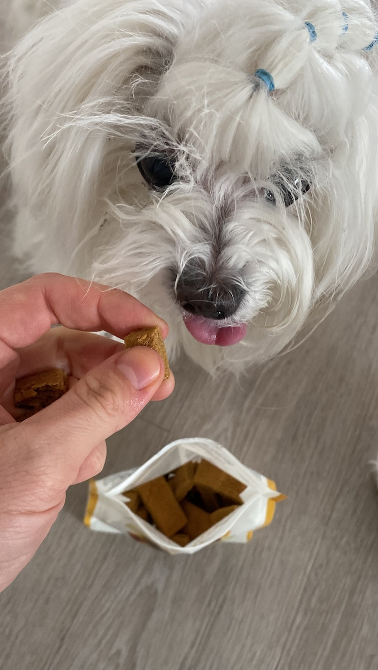 McAdams Awards Dog Treats - Best Behavior - Pumpkin & Cheese 150g