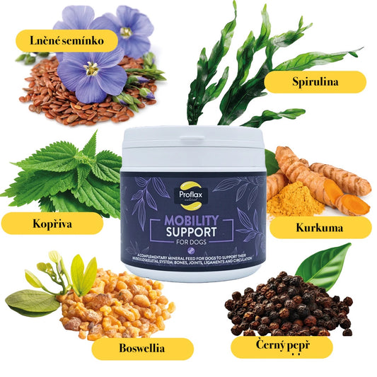 Proflax natural food supplement for Healthy joints and muscles for dogs | 350 g