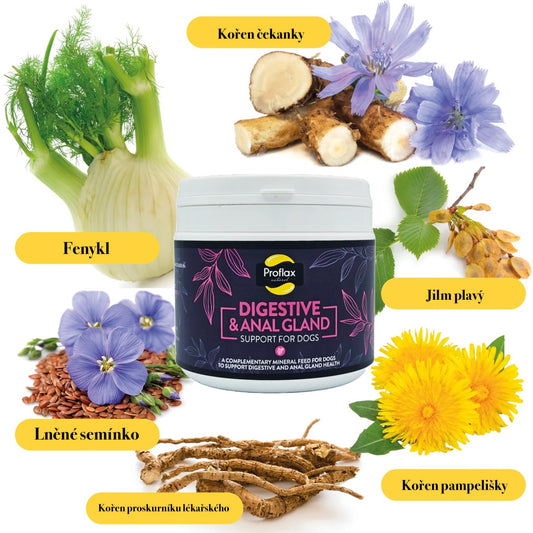 Proflax Přírodní doplňek stravy pro Podporu trávení a análních žlázek pro psy | 350 g
