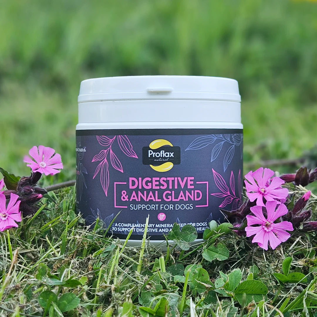Proflax Přírodní doplňek stravy pro Podporu trávení a análních žlázek pro psy | 350 g