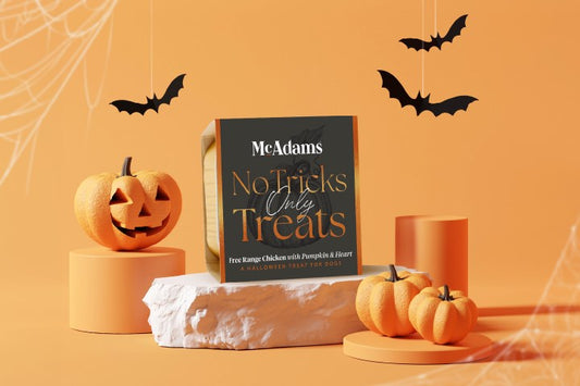 🎃 McAdams Halloween - Masová vanička pro psy - Trick or Treat 150g 🎃