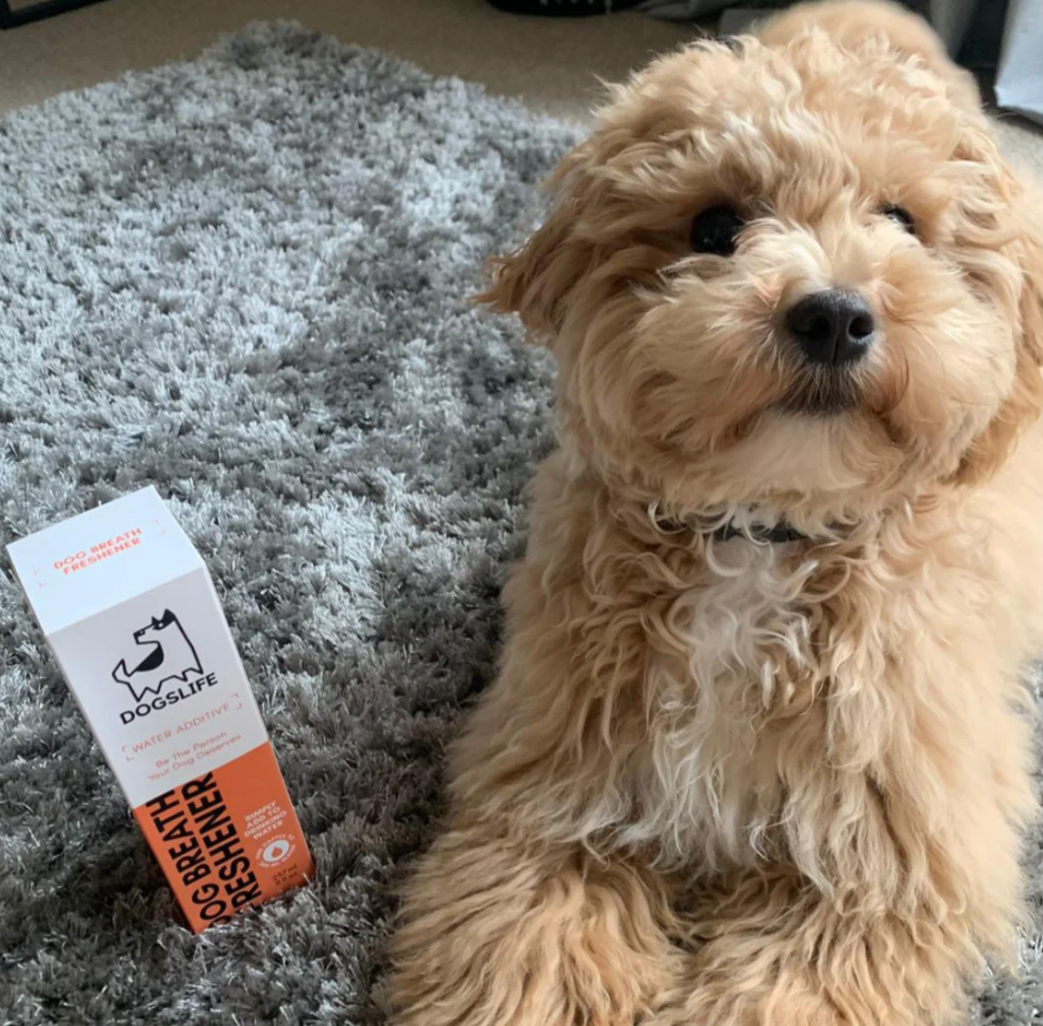 DOGSLIFE Breath freshener for dogs - water additive 237ml