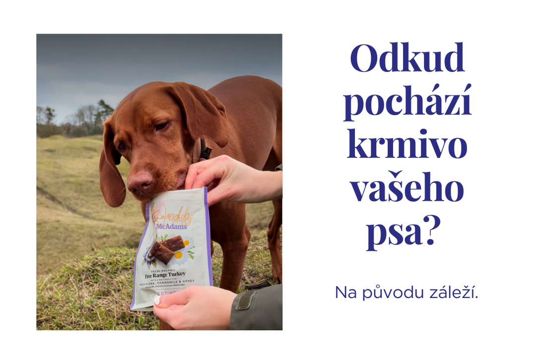 Pes s pamlsky. Otázka původu surovin.