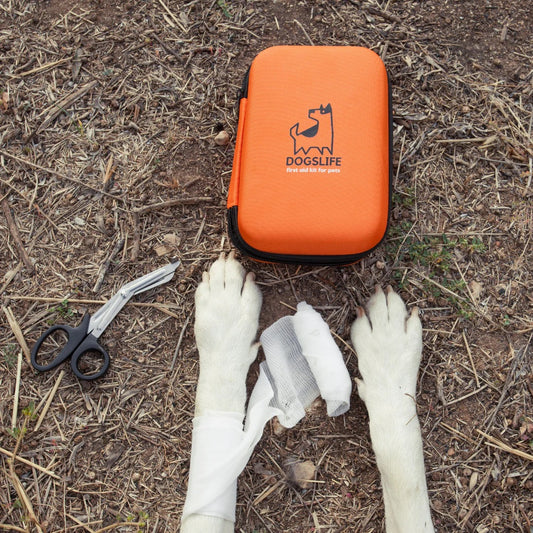 DOGSLIFE Travel first aid kit for dogs