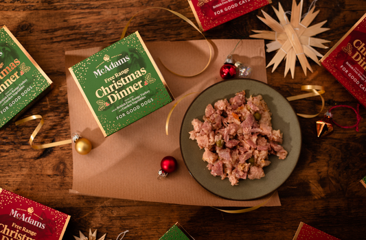 McAdams Vánoční večeře - Masová vanička pro psy z prémiového krůtího masa